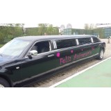 Limousine para aniversário infantil menor preço no Jardim Janiópolis