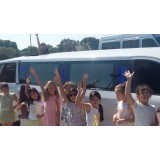 Limousine para aniversário infantil preço acessível no Jardim Rosana