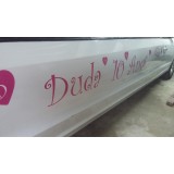 Limousine para aniversário onde localizar no Jardim Itamarati