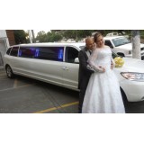 Limousine quanto custa no Jardim Maninos